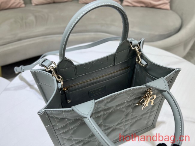 SMALL DIOR BOOK TOTE Calfskin M1295ZG gray