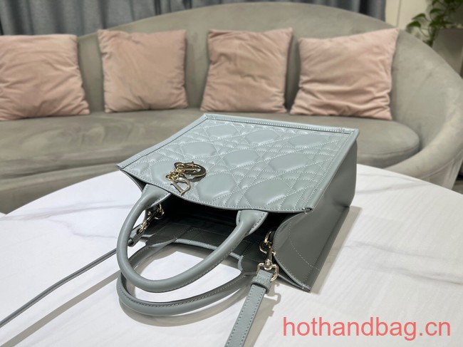 SMALL DIOR BOOK TOTE Calfskin M1295ZG gray