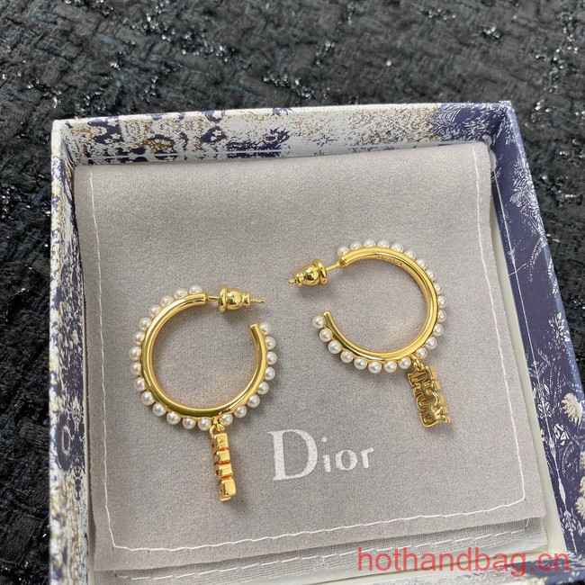 Dior Earrings CE12950