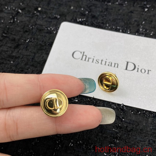 Dior Earrings CE12951