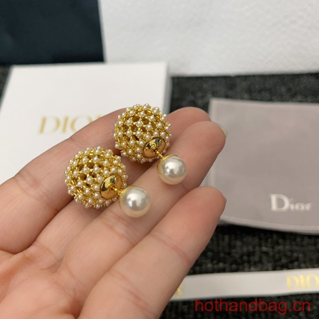 Dior Earrings CE13032