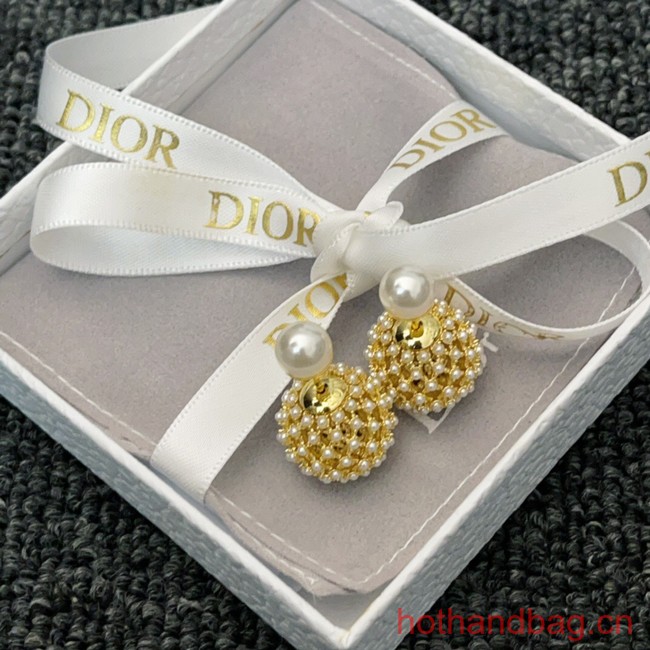 Dior Earrings CE13032