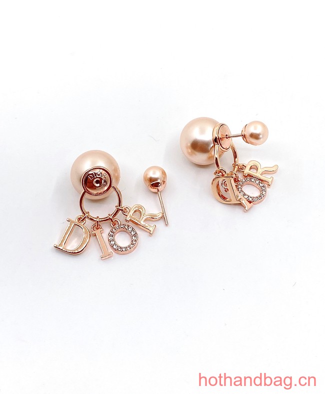 Dior Earrings CE13047