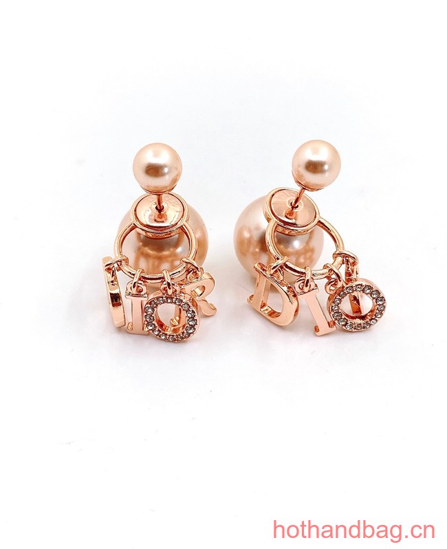 Dior Earrings CE13047