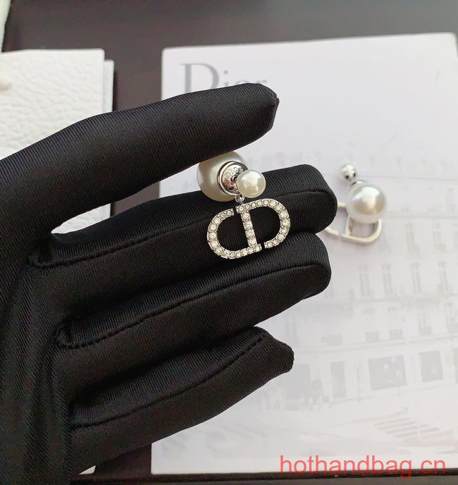 Dior Earrings CE13048