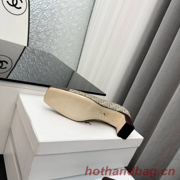 Dior Shoes DIS00249