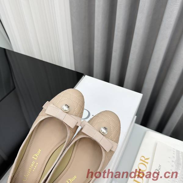 Dior Shoes DIS00255