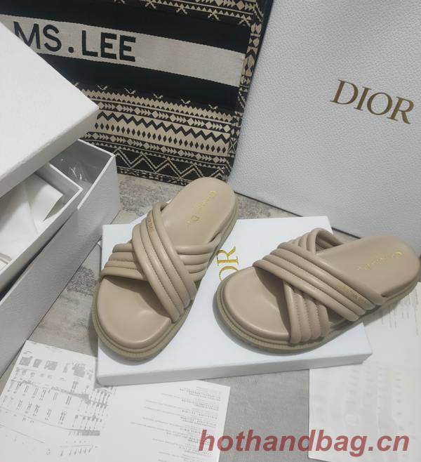 Dior Shoes DIS00308