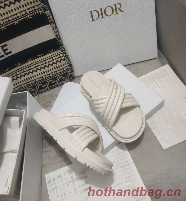 Dior Shoes DIS00309