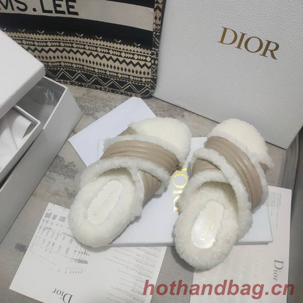 Dior Shoes DIS00311