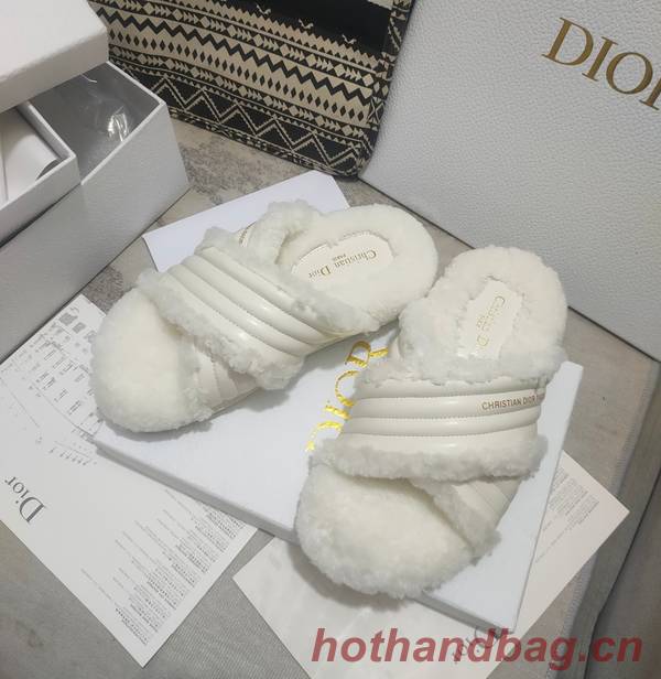 Dior Shoes DIS00312