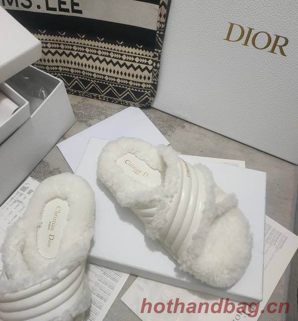 Dior Shoes DIS00312