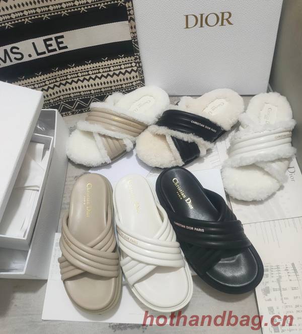 Dior Shoes DIS00312