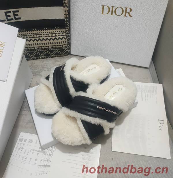 Dior Shoes DIS00313