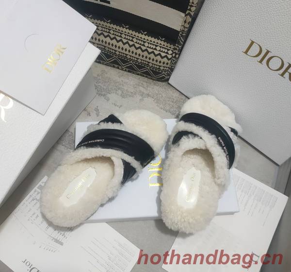 Dior Shoes DIS00313