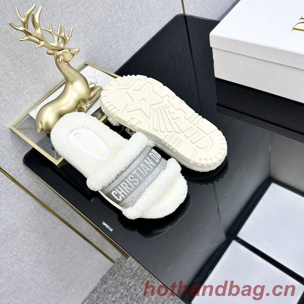 Dior Shoes DIS00320