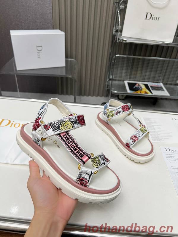 Dior Shoes DIS00341