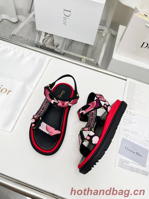 Dior Shoes DIS00344