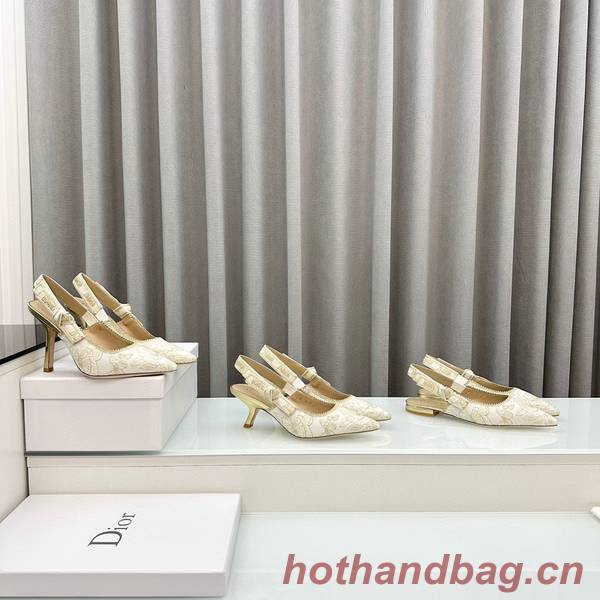 Dior Shoes DIS00359