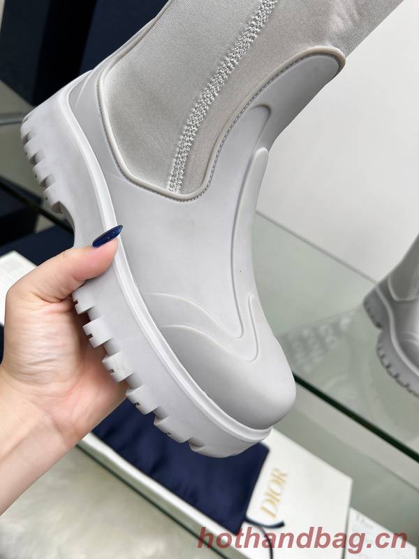 Dior Shoes DIS00413