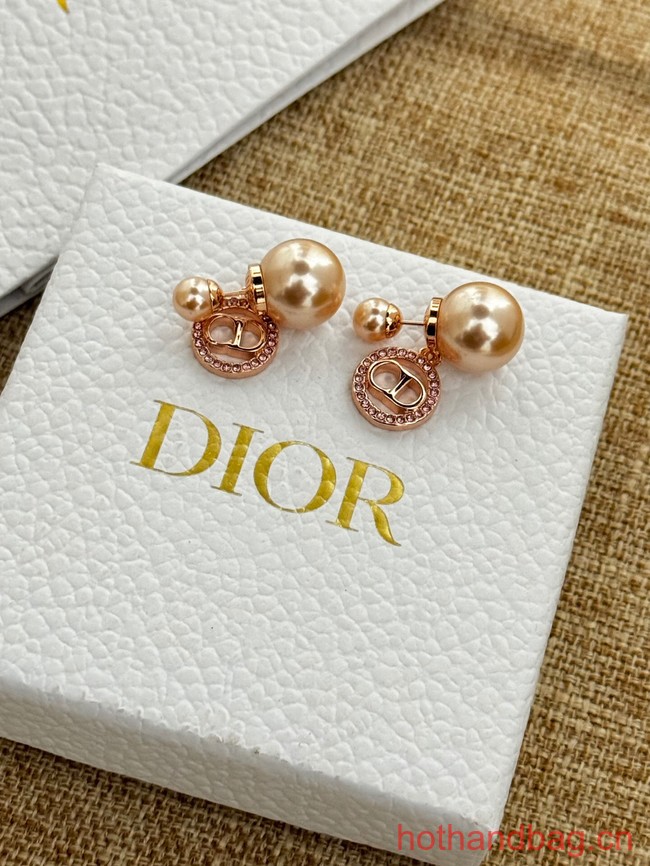 Dior Earrings CE13075