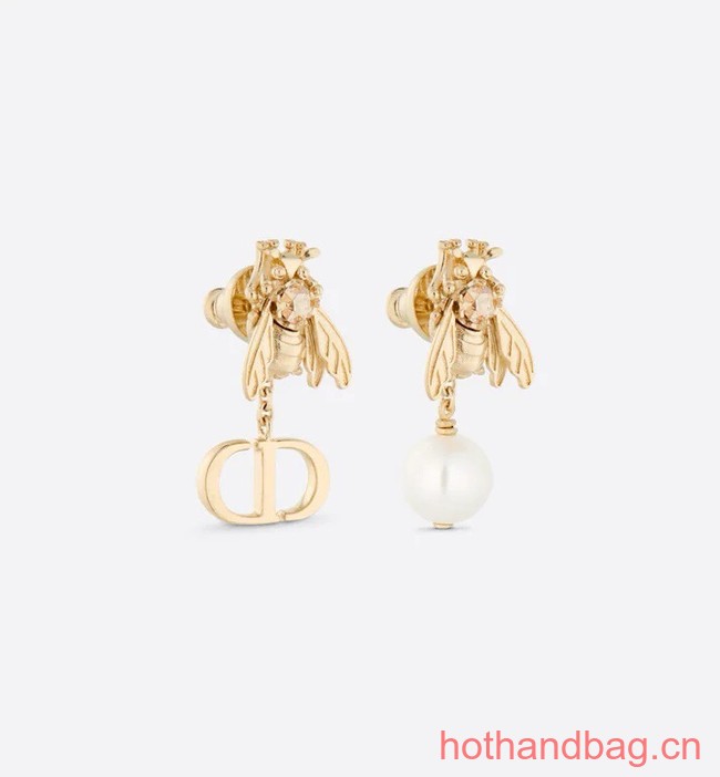 Dior Earrings CE13106