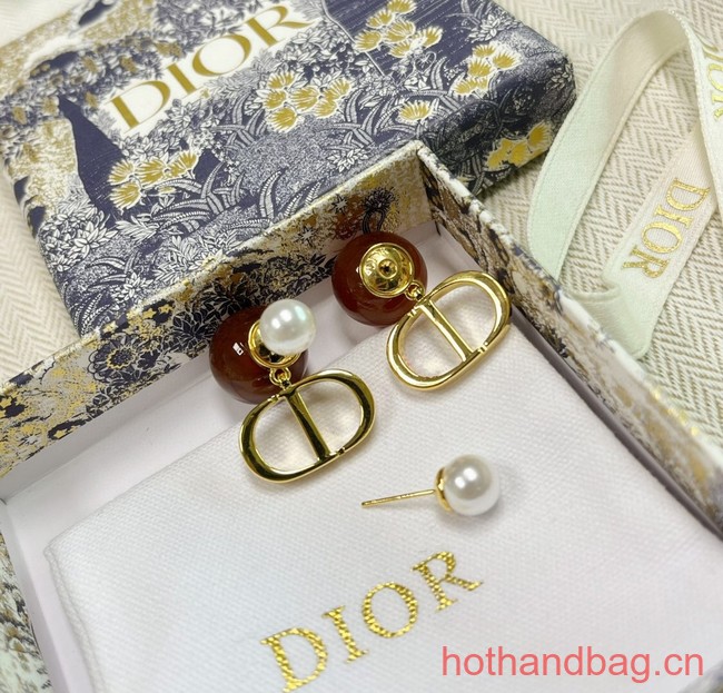 Dior Earrings CE13119