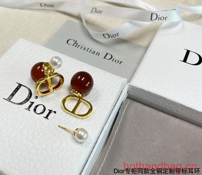 Dior Earrings CE13119