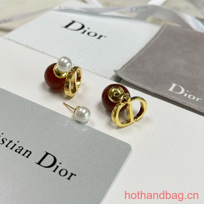 Dior Earrings CE13119