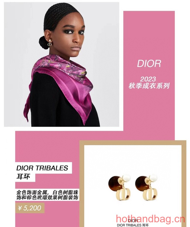 Dior Earrings CE13119