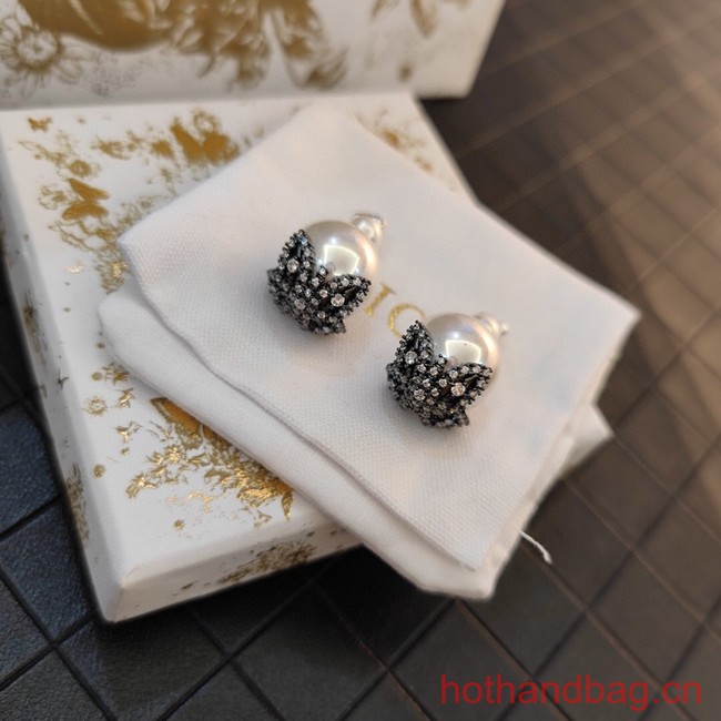 Dior Earrings CE13120