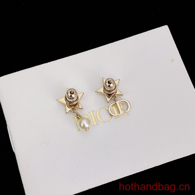 Dior Earrings CE13129