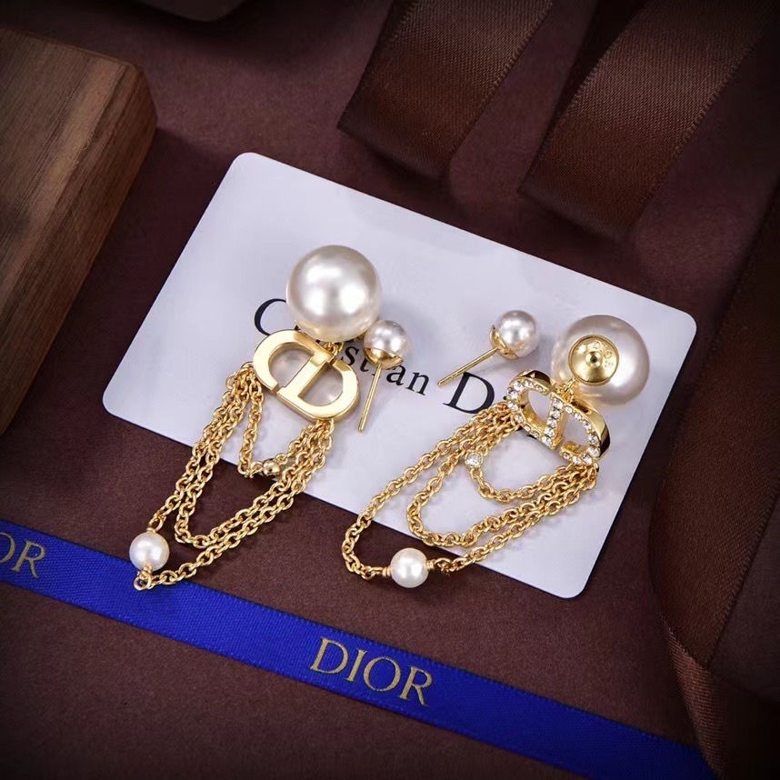 Dior Earrings CE13192