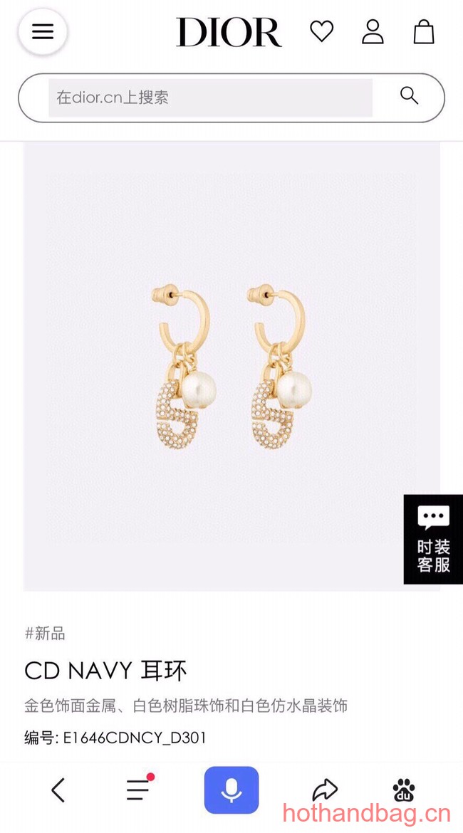 Dior Earrings CE13203