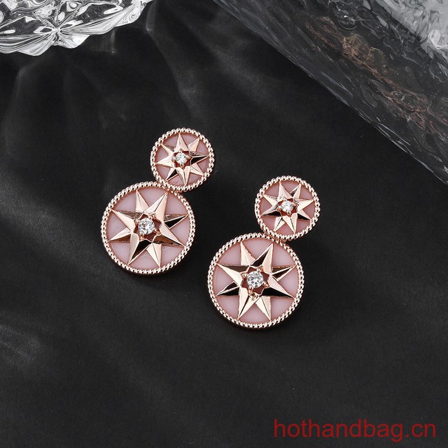 Dior Earrings CE13228