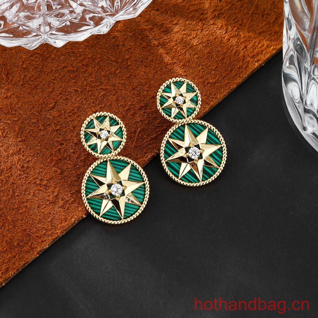 Dior Earrings CE13228