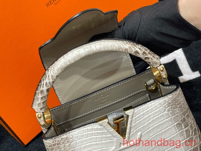 Louis Vuitton Capucines MM N93419 gray&white