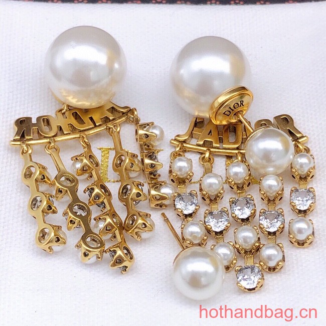 Dior Earrings CE13380