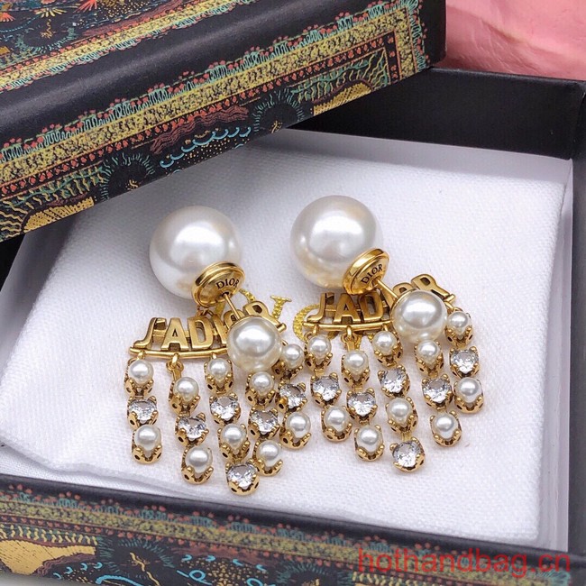 Dior Earrings CE13380