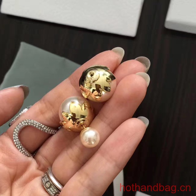 Dior Earrings CE13641