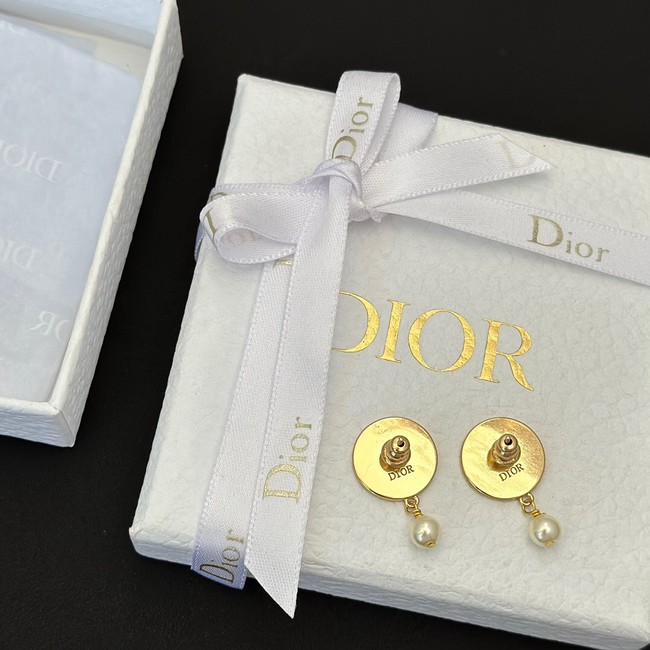 Dior Earrings CE13760