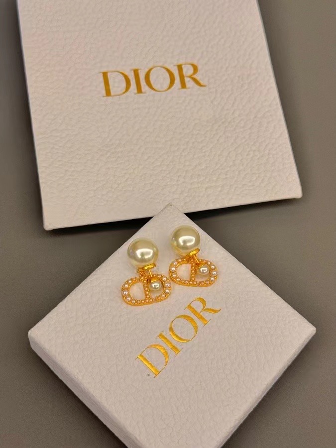 Dior Earrings CE14112