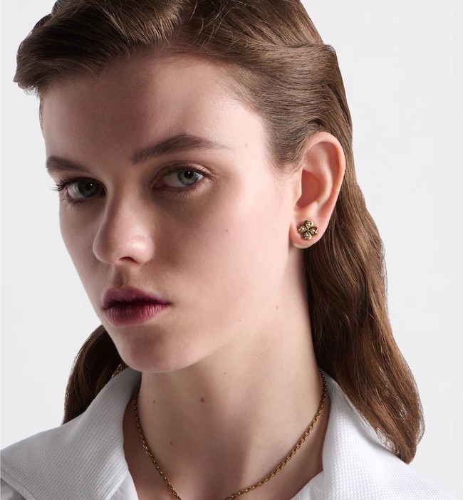 Dior Earrings CE14164