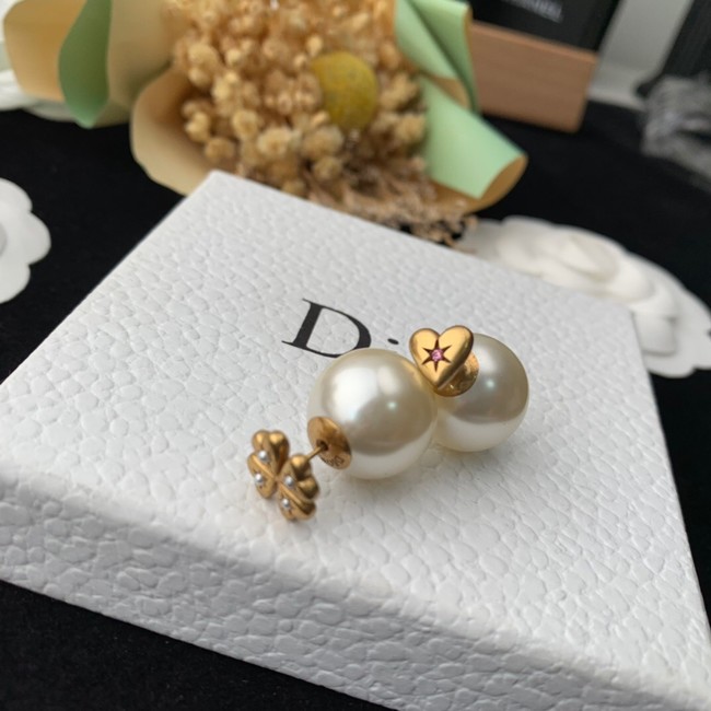 Dior Earrings CE14164