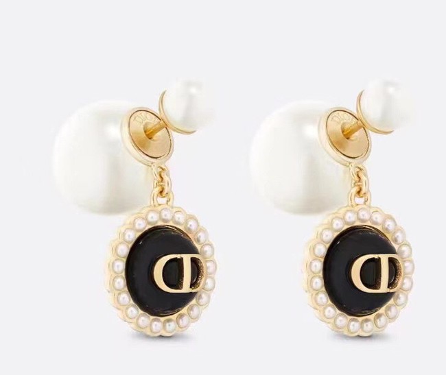 Dior Earrings CE14198