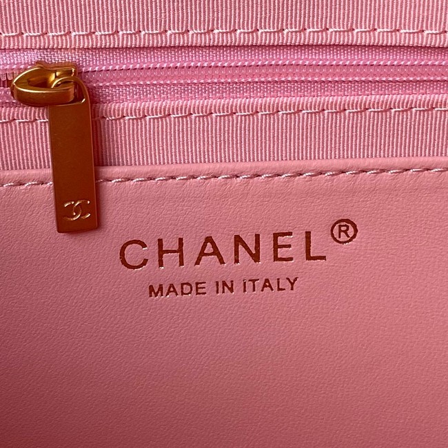 Chanel Shoulder Bag AS4450 pink