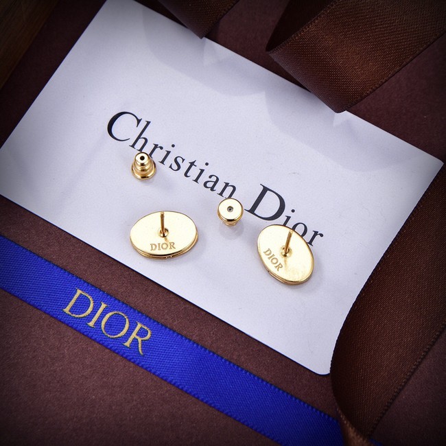 Dior Earrings CE14199