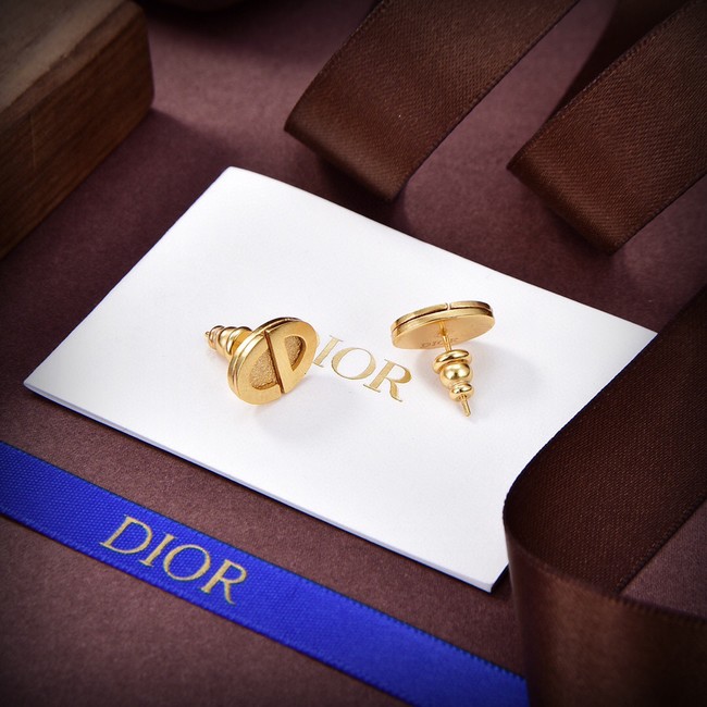 Dior Earrings CE14199
