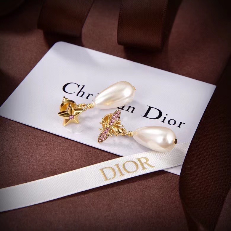 Dior Earrings CE14201
