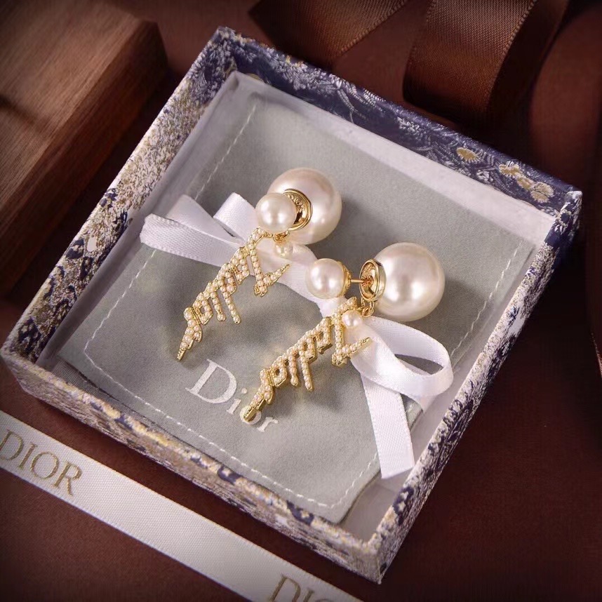 Dior Earrings CE14205
